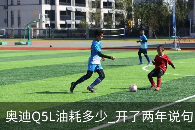 奥迪Q5L油耗多少 开了两年说句实话 家用到底香不香